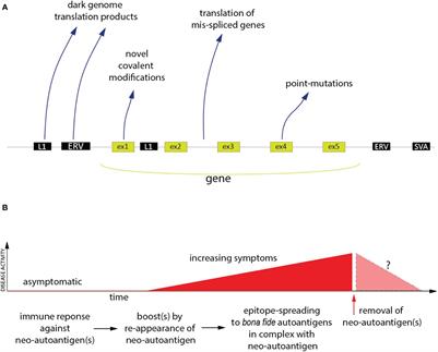 Autoimmunity: the neoantigen hypothesis